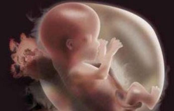 دراسة جديدة تكشف ولادة جنين ميت كل 16 ثانية حول العالم.. اعرف التفاصيل