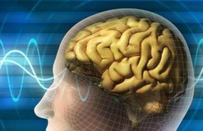 تعرف على "فيتامينات الدماغ" للمساعدة فى تعزيز الذاكرة