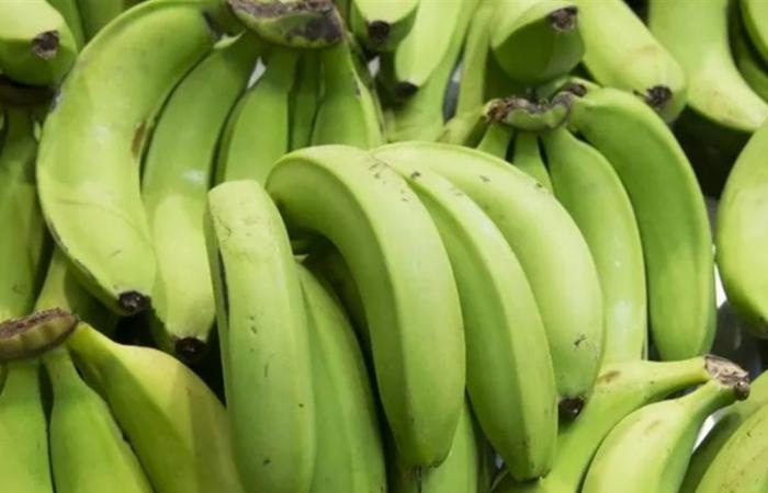 طبيب يكشف فوائد الموز لصحة القلب