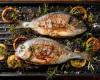 عشاق الأسماك أكثر عرضة للإصابة بسرطان الجلد.. دراسة تكشف